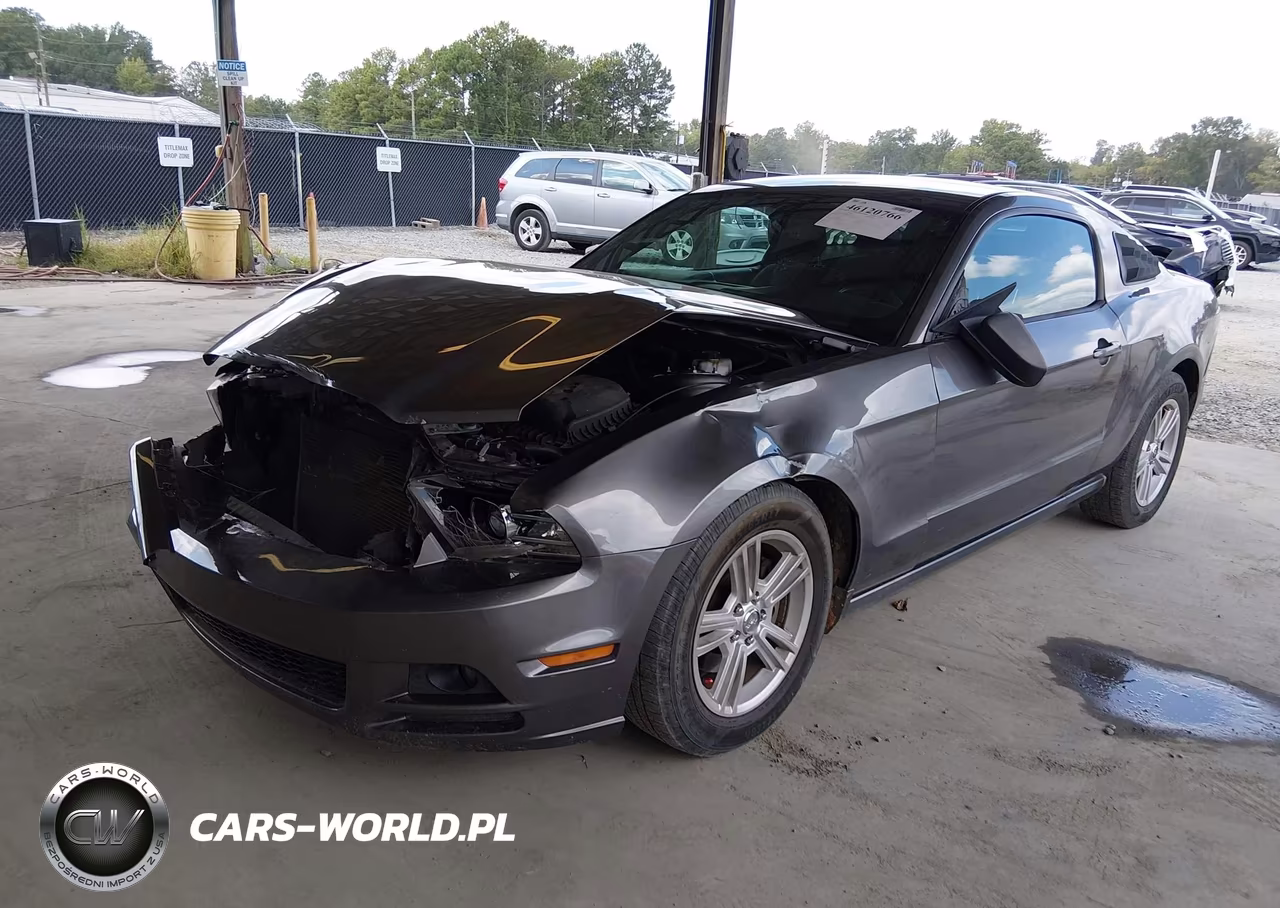 2014 Ford Mustang V6 VIN:1ZVBP8AM8E5313857 - 2
