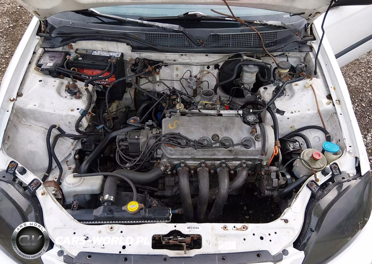 1997 Honda Civic Dx VIN:1HGEJ6220VL102359 - 10
