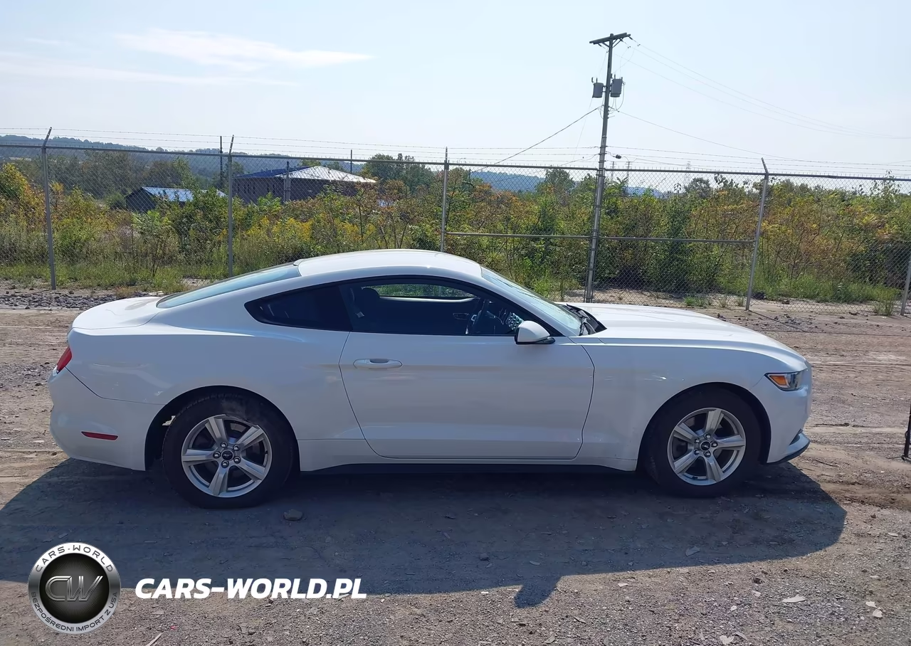2017 Ford Mustang V6 VIN:1FA6P8AM6H5209205 - 14