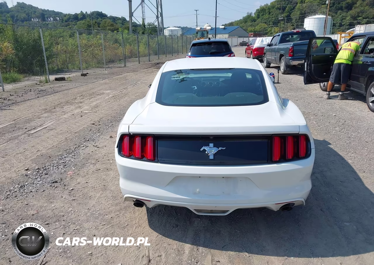 2017 Ford Mustang V6 VIN:1FA6P8AM6H5209205 - 17