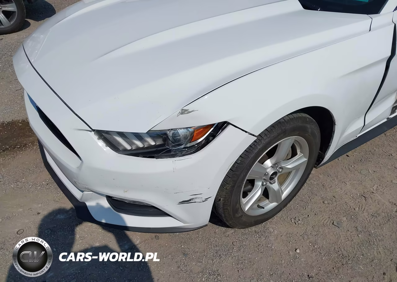 2017 Ford Mustang V6 VIN:1FA6P8AM6H5209205 - 19