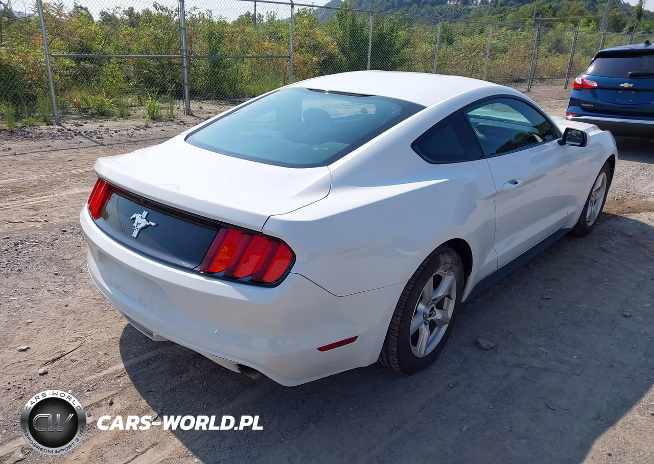 2017 Ford Mustang V6 VIN:1FA6P8AM6H5209205 - 4