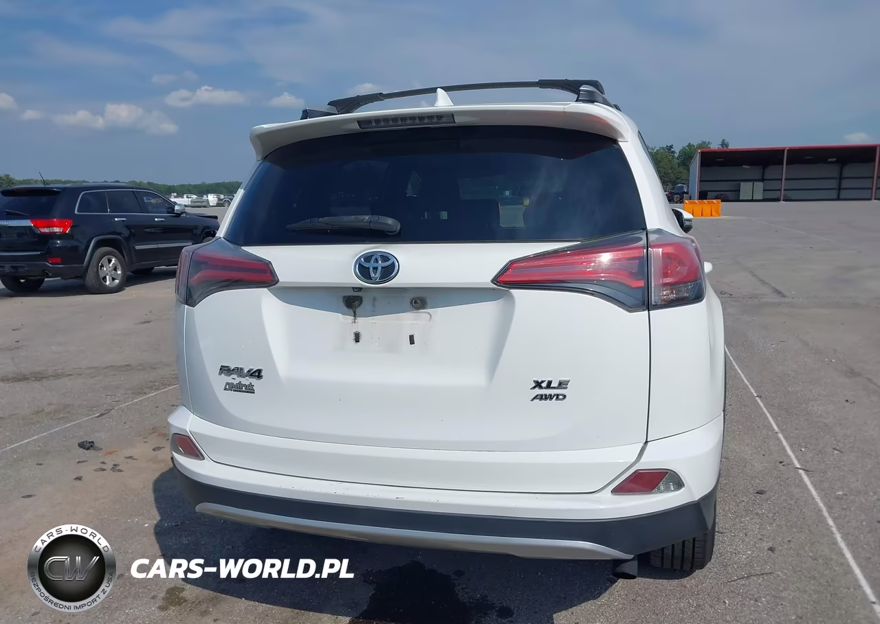 2016 Toyota Rav4 Xle VIN:2T3RFREV7GW419080 - 16