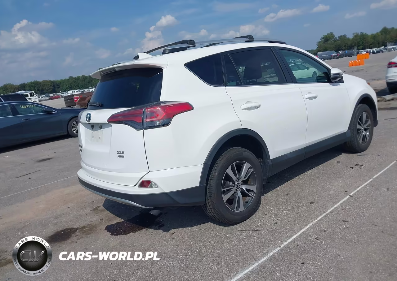 2016 Toyota Rav4 Xle VIN:2T3RFREV7GW419080 - 4