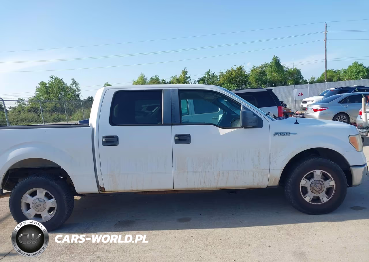 2010 Ford F-150 Fx2 Sport-Xl-Xlt VIN:1FTEW1C81AKA59382 - 13