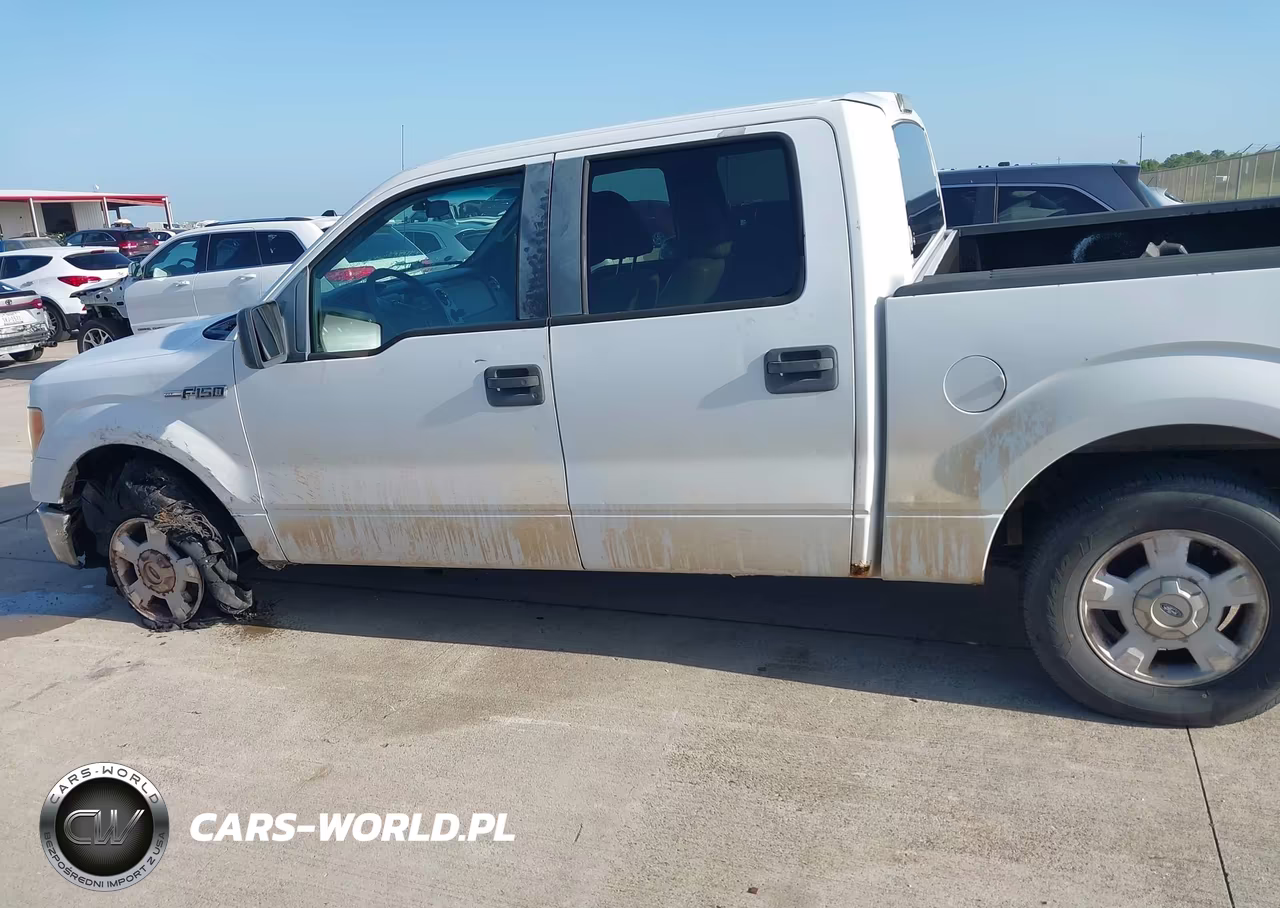 2010 Ford F-150 Fx2 Sport-Xl-Xlt VIN:1FTEW1C81AKA59382 - 14