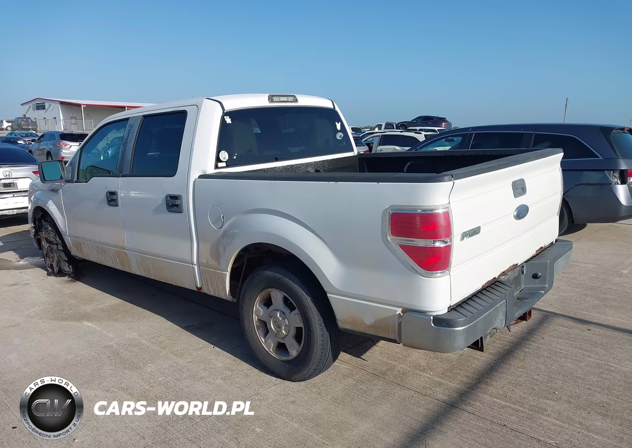 2010 Ford F-150 Fx2 Sport-Xl-Xlt VIN:1FTEW1C81AKA59382 - 3