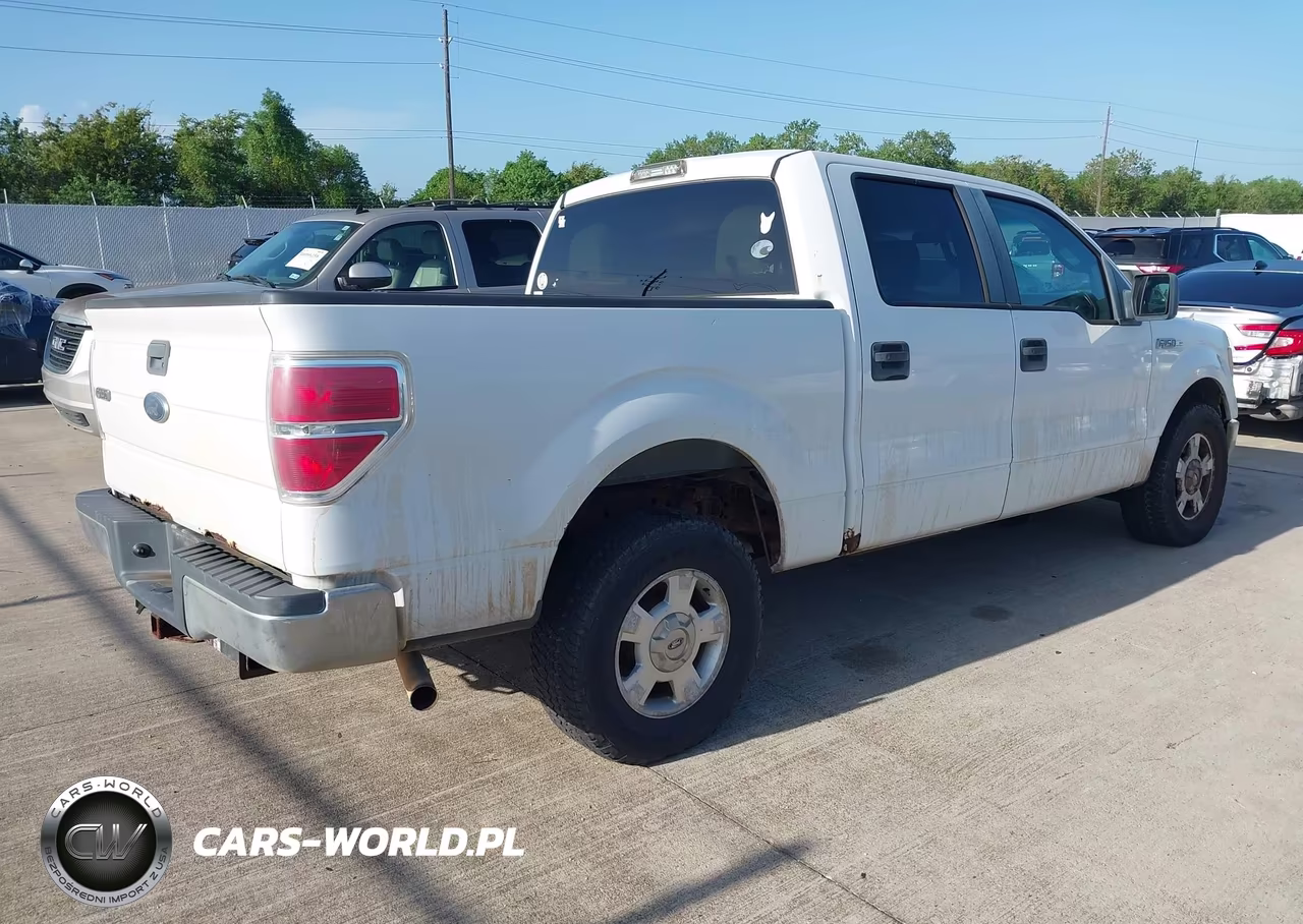 2010 Ford F-150 Fx2 Sport-Xl-Xlt VIN:1FTEW1C81AKA59382 - 4