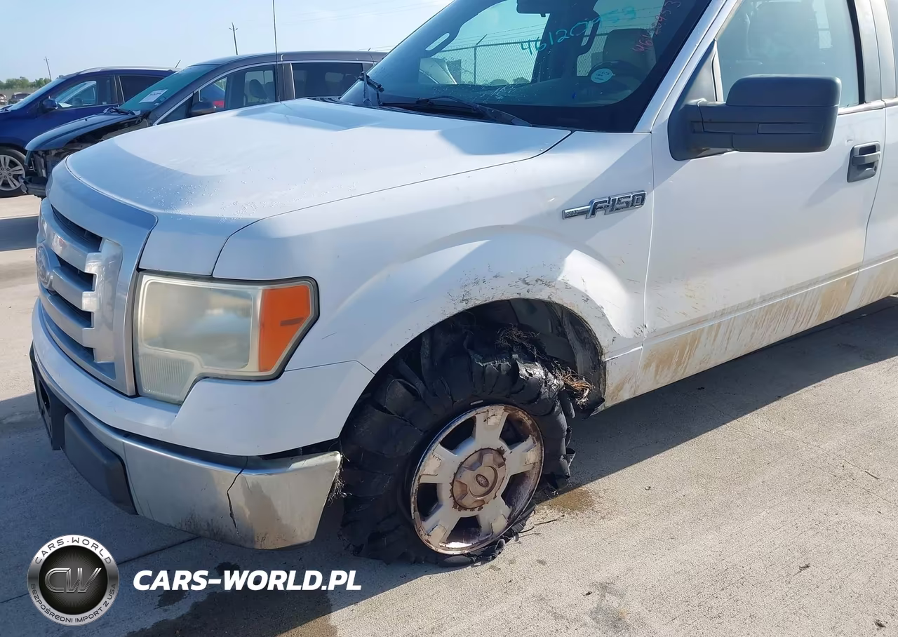 2010 Ford F-150 Fx2 Sport-Xl-Xlt VIN:1FTEW1C81AKA59382 - 6