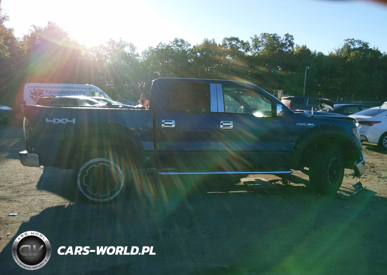 2011 Ford F-150 Xlt VIN:1FTFW1EF7BFB70447 - 13