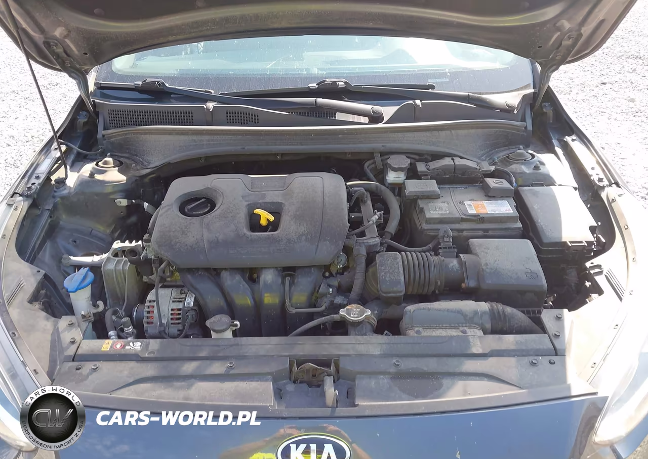2021 Kia Forte Fe VIN:3KPF24AD2ME301055 - 10
