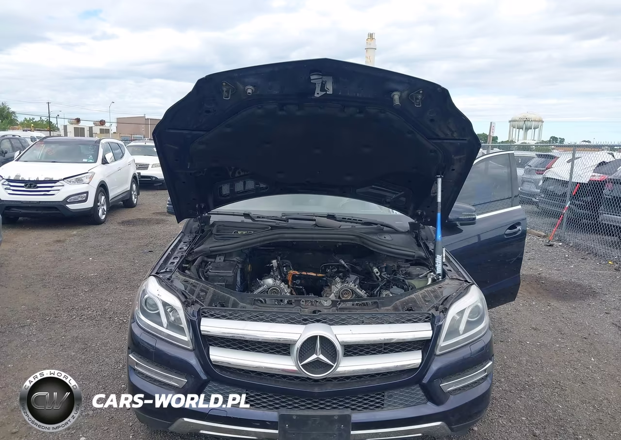 2013 Mercedes-Benz Gl 450 4Matic VIN:4JGDF7CE1DA177054 - 10