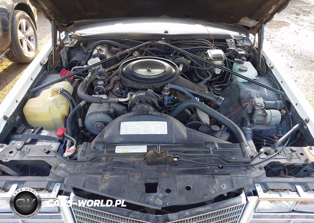 1985 Cadillac Seville VIN:1G6KS698XFE835228 - 10
