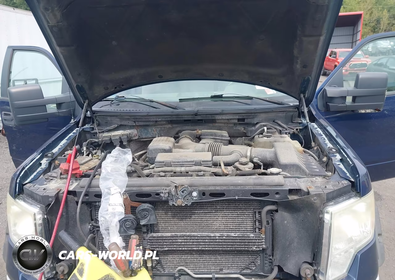 2010 Ford F-150 Xl-Xlt VIN:1FTVX1EV2AKE04337 - 10