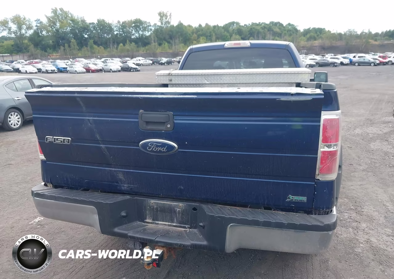 2010 Ford F-150 Xl-Xlt VIN:1FTVX1EV2AKE04337 - 16