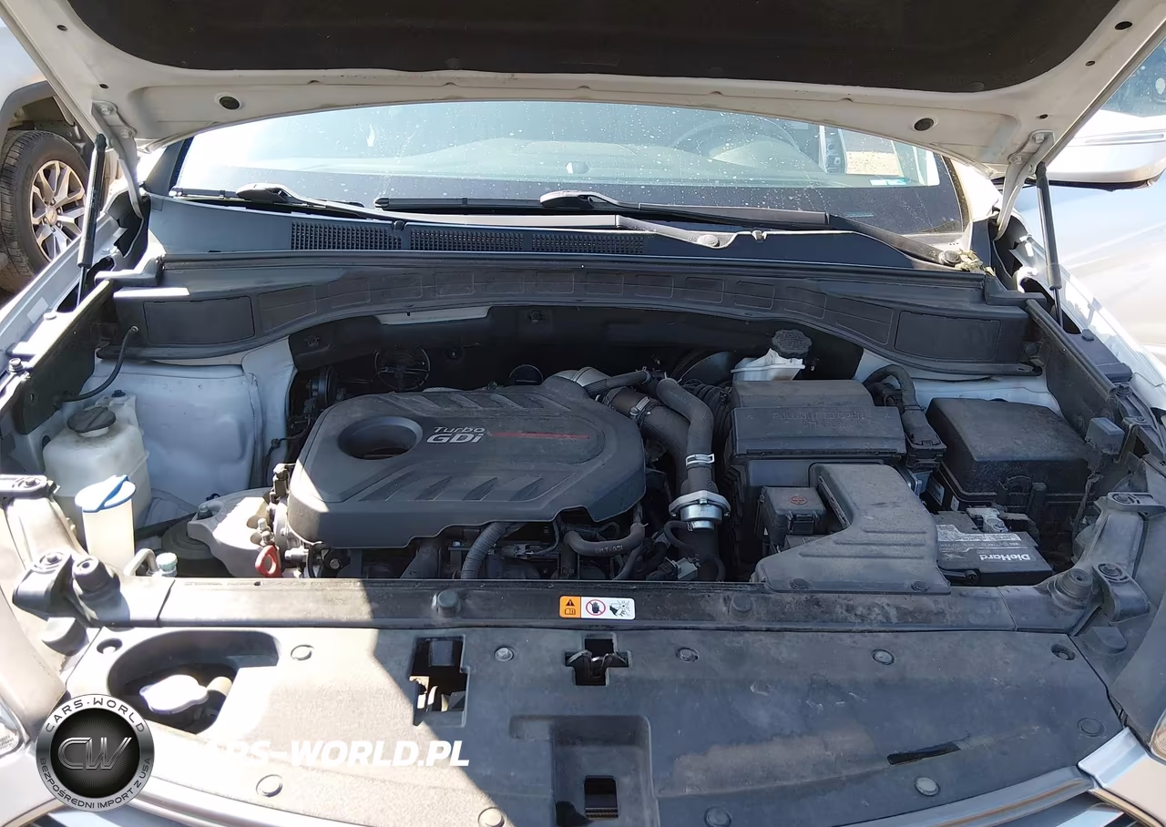 2017 Hyundai Santa Fe Sport 2.0T Ultimate VIN:5XYZW4LA7HG490816 - 10