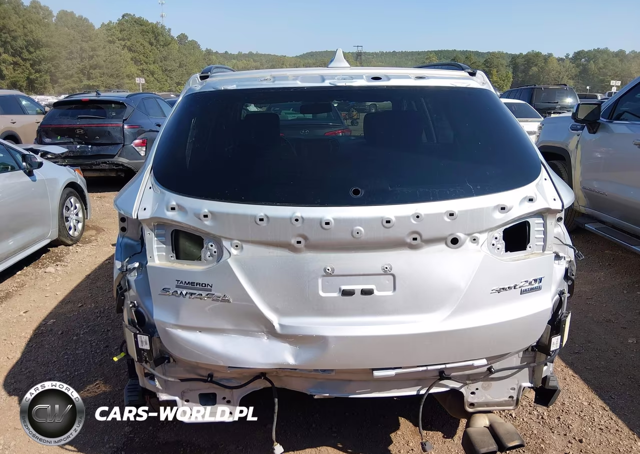2017 Hyundai Santa Fe Sport 2.0T Ultimate VIN:5XYZW4LA7HG490816 - 17