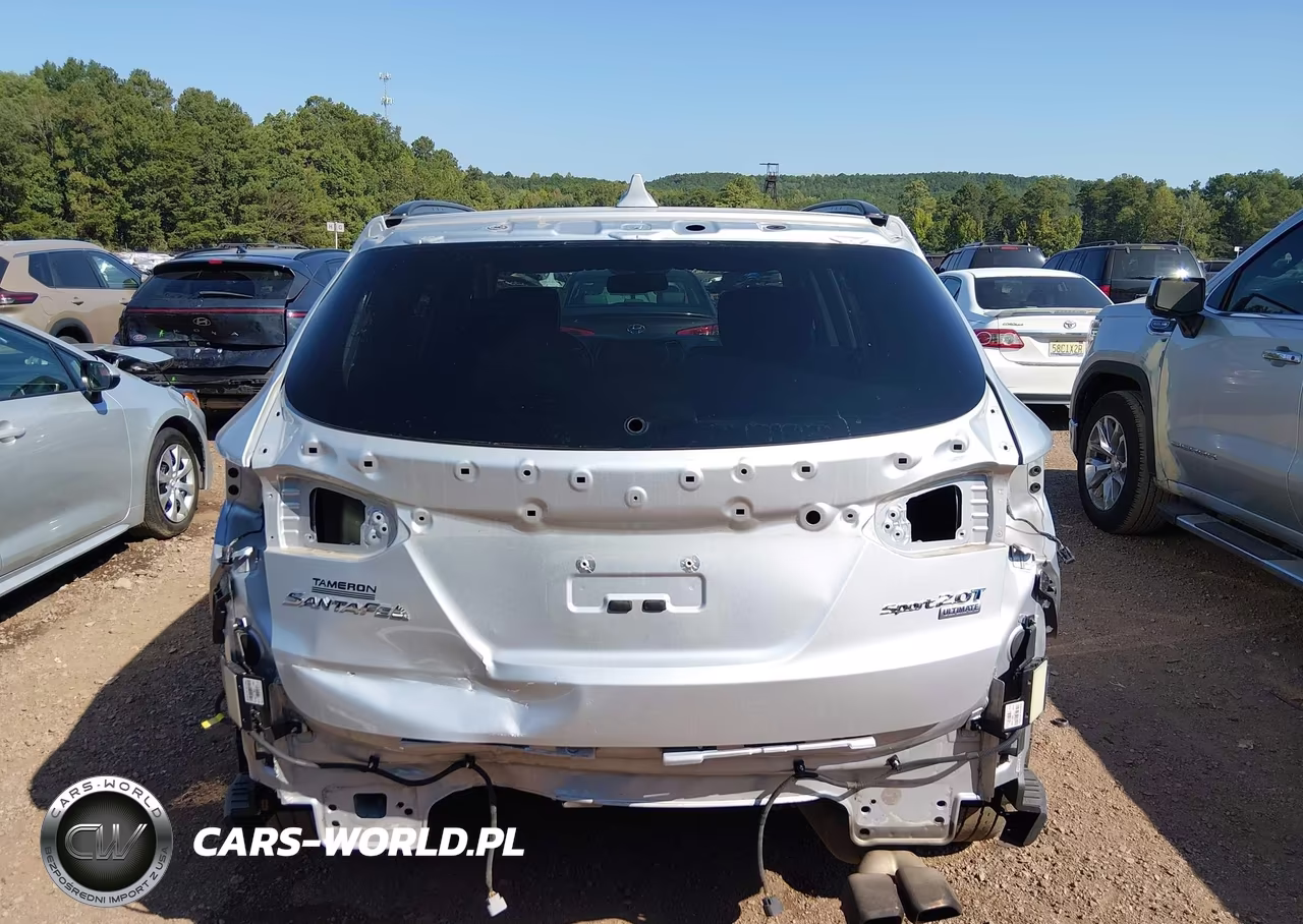2017 Hyundai Santa Fe Sport 2.0T Ultimate VIN:5XYZW4LA7HG490816 - 6