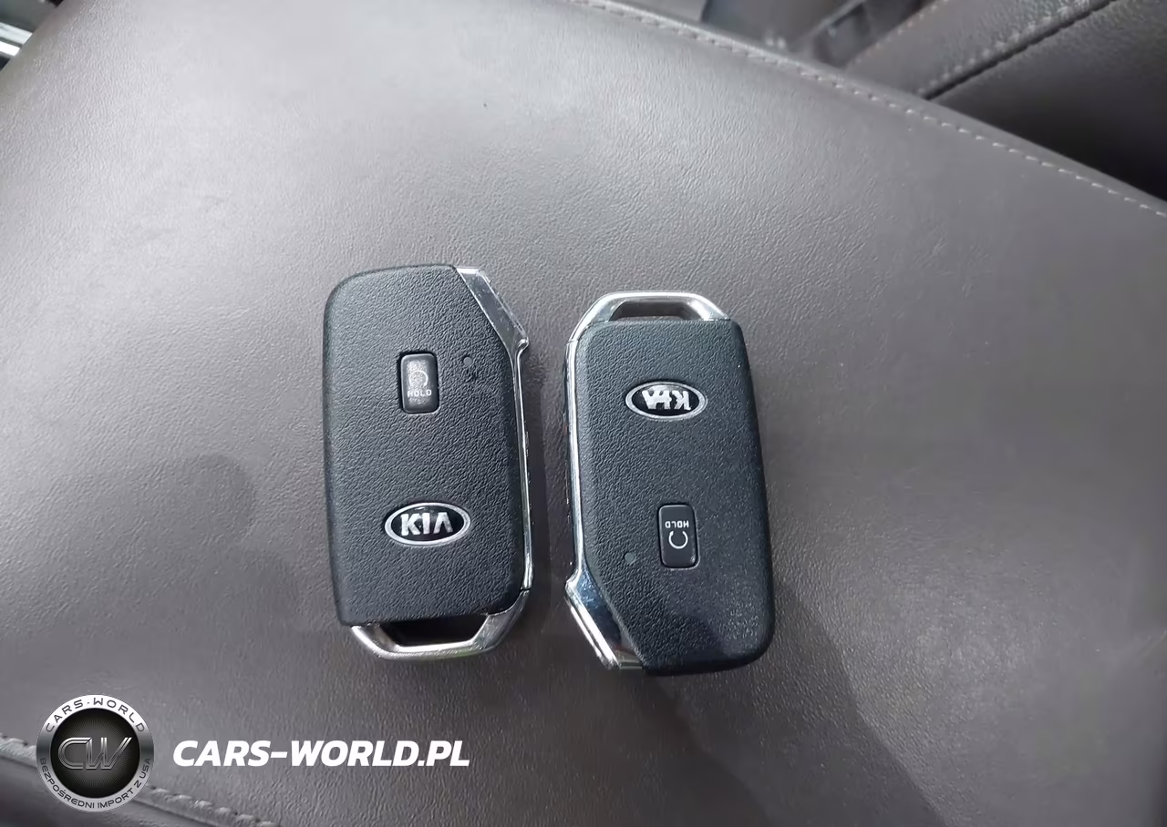 2021 Kia Telluride Sx VIN:5XYP5DHC7MG102269 - 11