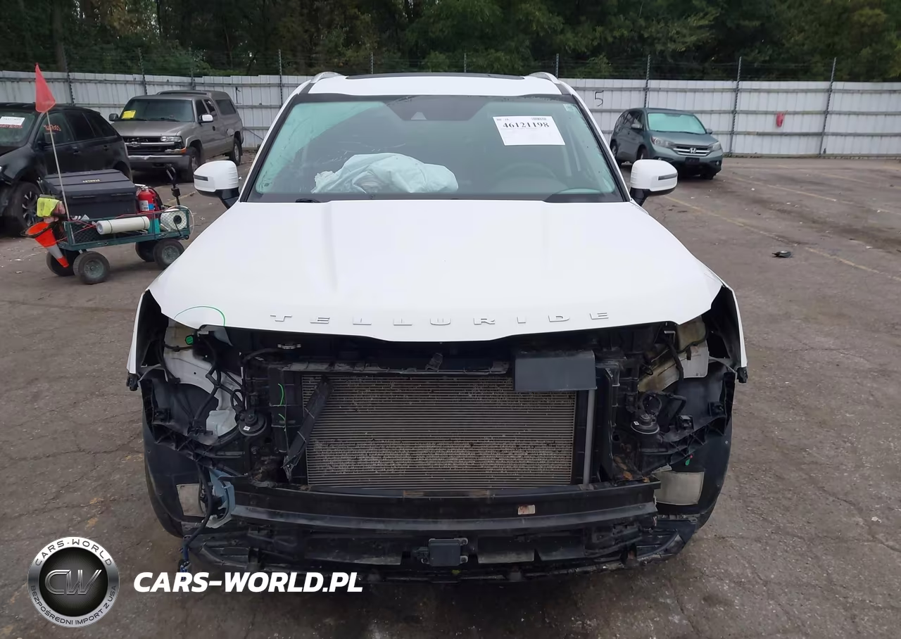 2021 Kia Telluride Sx VIN:5XYP5DHC7MG102269 - 12