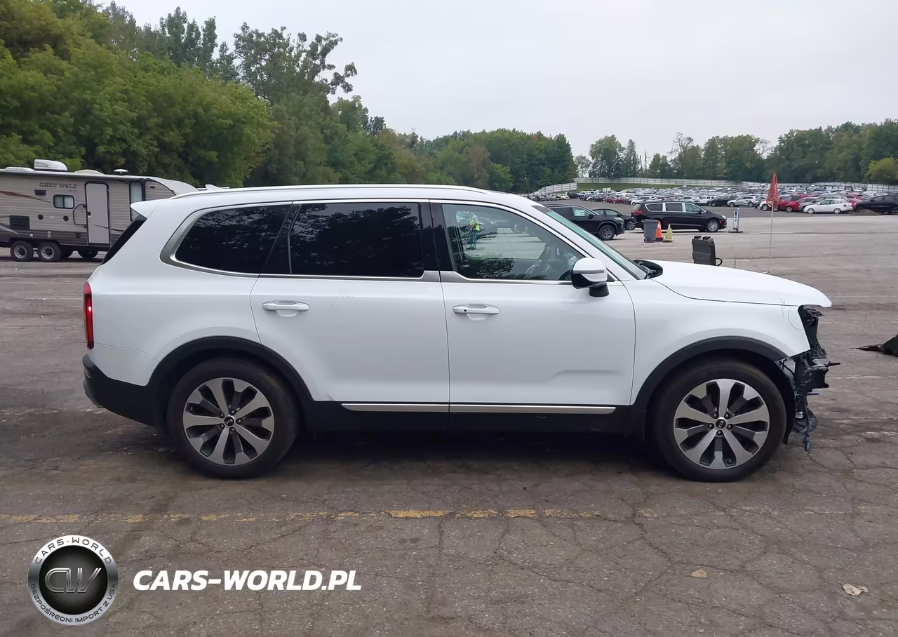 2021 Kia Telluride Sx VIN:5XYP5DHC7MG102269 - 13