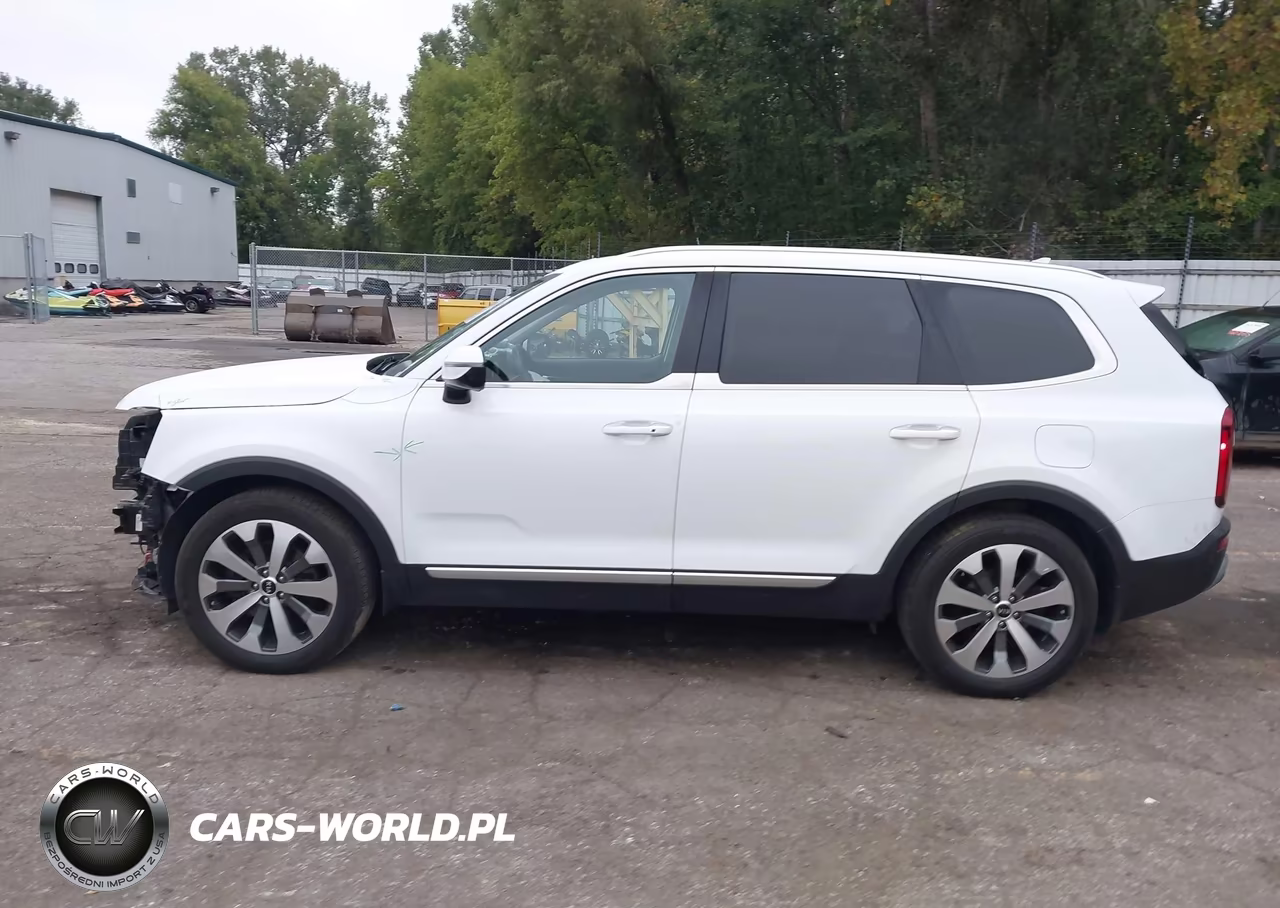 2021 Kia Telluride Sx VIN:5XYP5DHC7MG102269 - 14