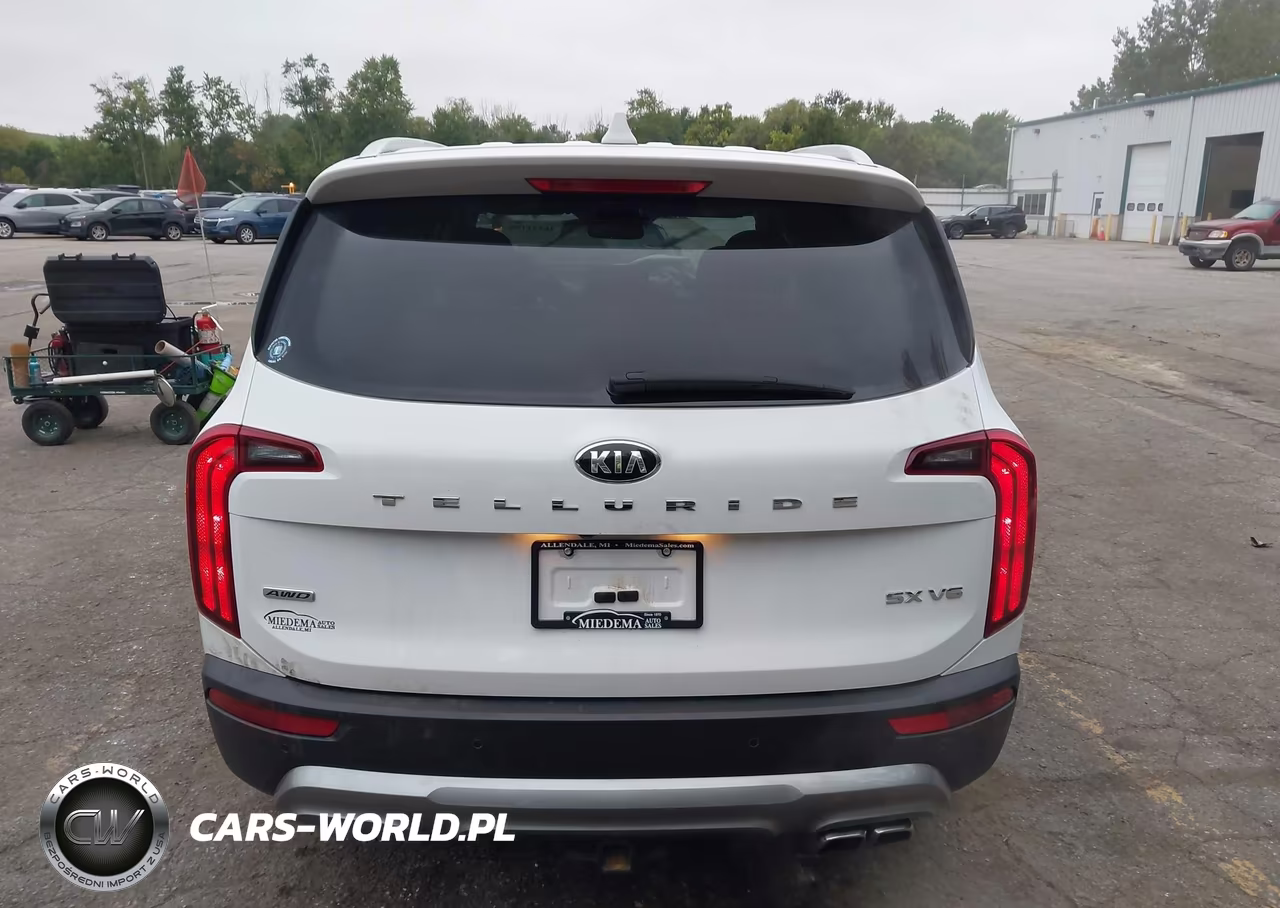 2021 Kia Telluride Sx VIN:5XYP5DHC7MG102269 - 16