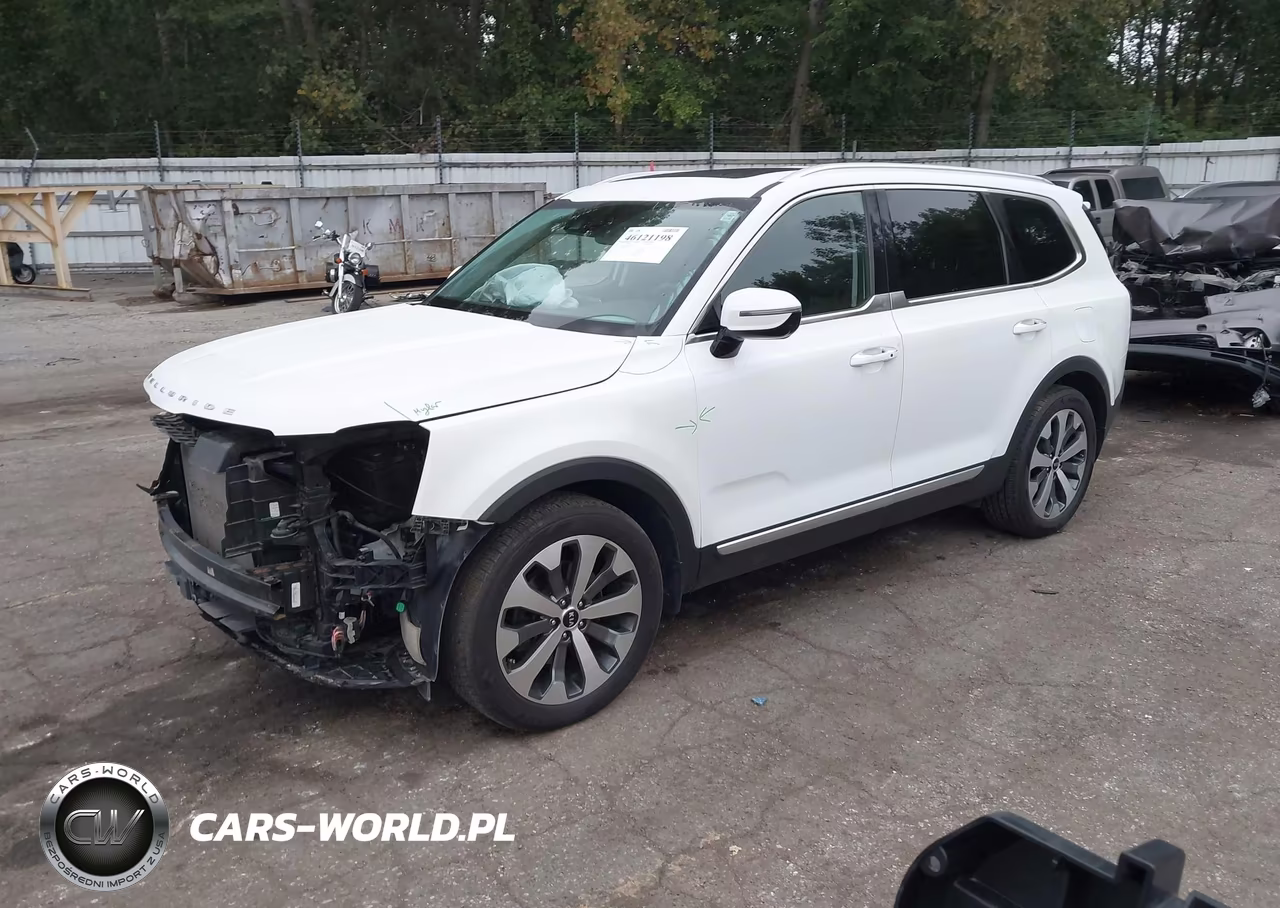 2021 Kia Telluride Sx VIN:5XYP5DHC7MG102269 - 2