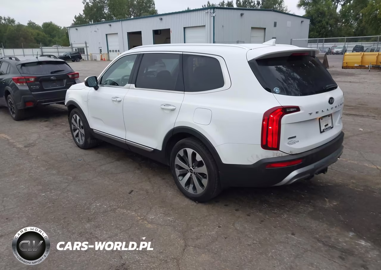 2021 Kia Telluride Sx VIN:5XYP5DHC7MG102269 - 3
