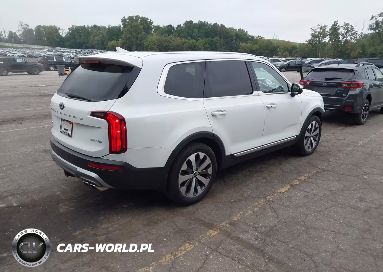 2021 Kia Telluride Sx VIN:5XYP5DHC7MG102269 - 4