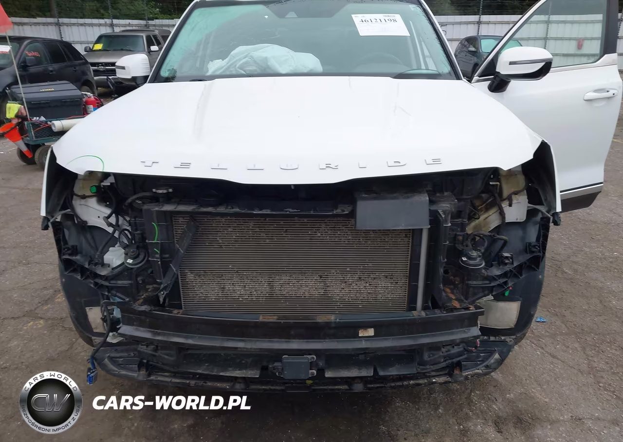 2021 Kia Telluride Sx VIN:5XYP5DHC7MG102269 - 6