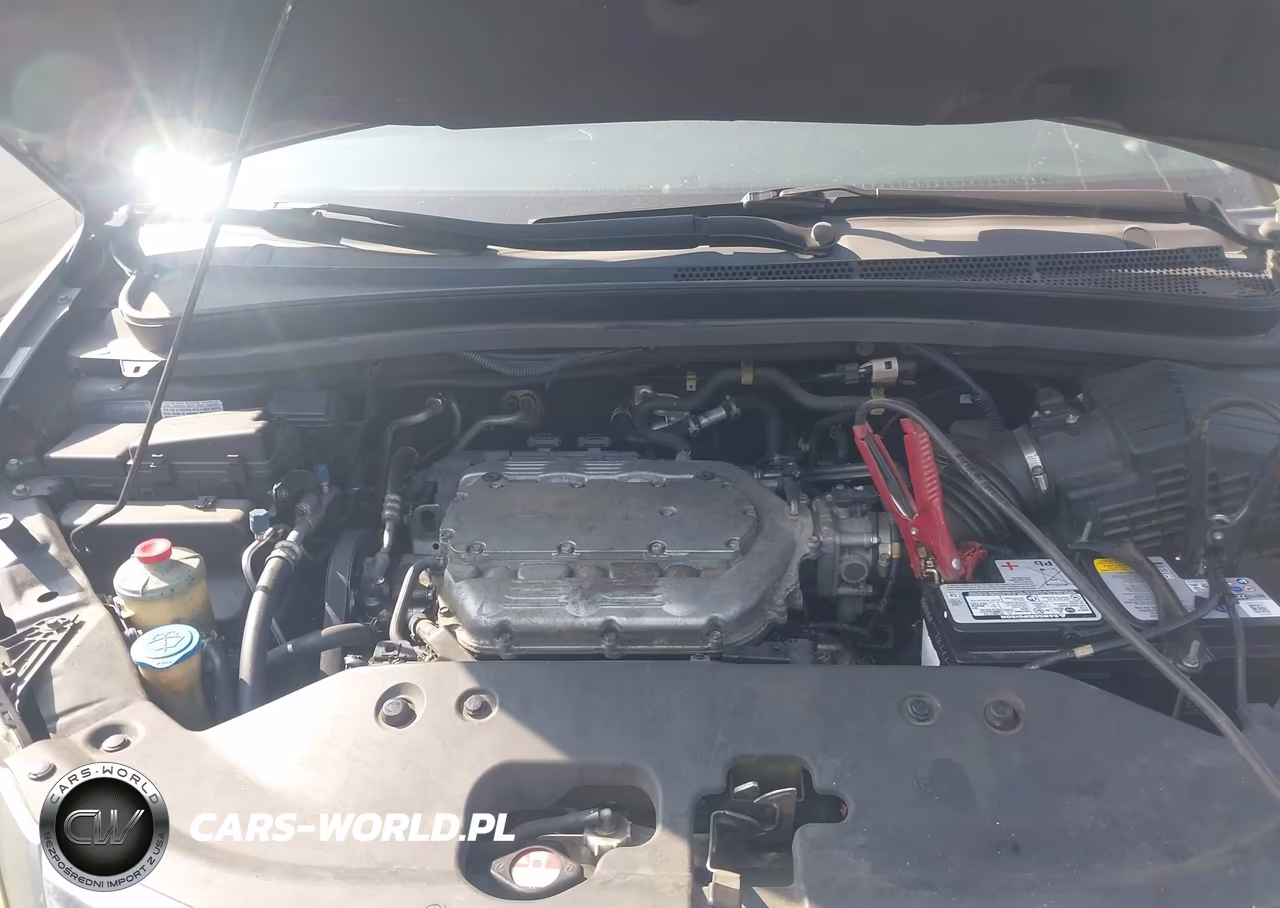 2009 Honda Odyssey Exl VIN:5FNRL386X9B403779 - 10