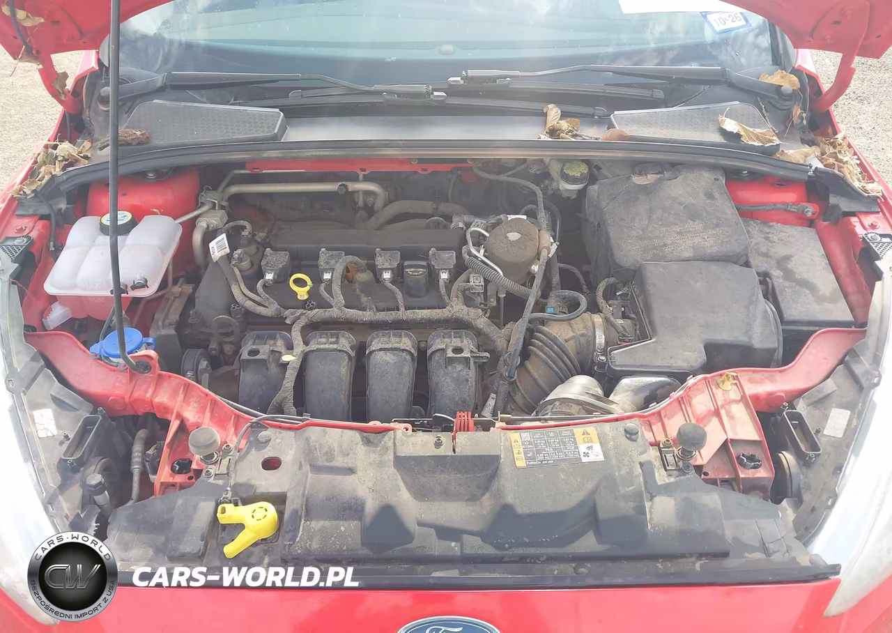 2016 Ford Focus Se VIN:1FADP3F25GL205805 - 10