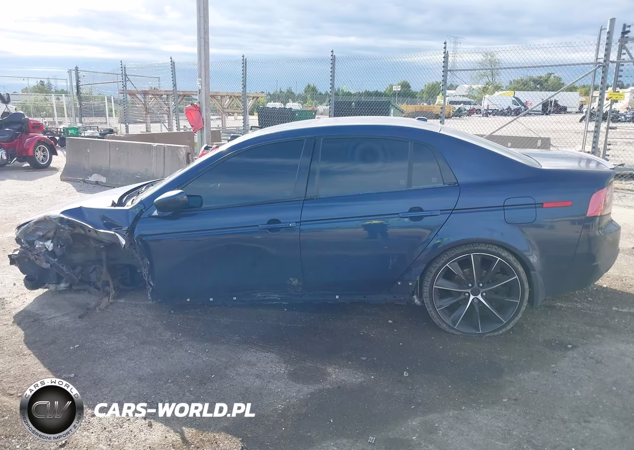 2004 Acura Tl VIN:19UUA66294A055266 - 13