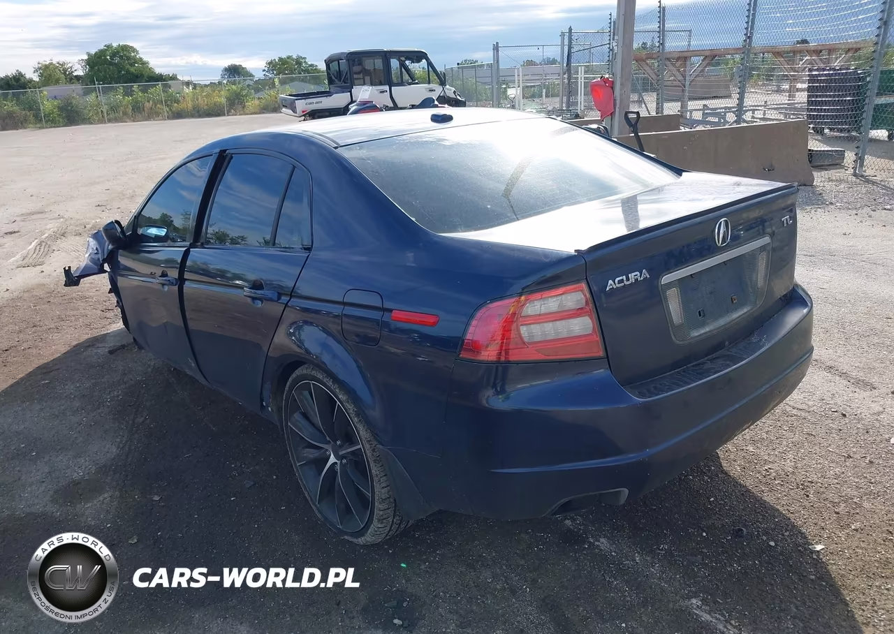 2004 Acura Tl VIN:19UUA66294A055266 - 3
