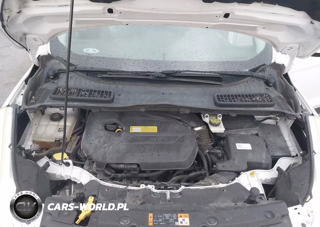 2013 Ford Escape Se VIN:1FMCU9GX3DUC35687 - 10