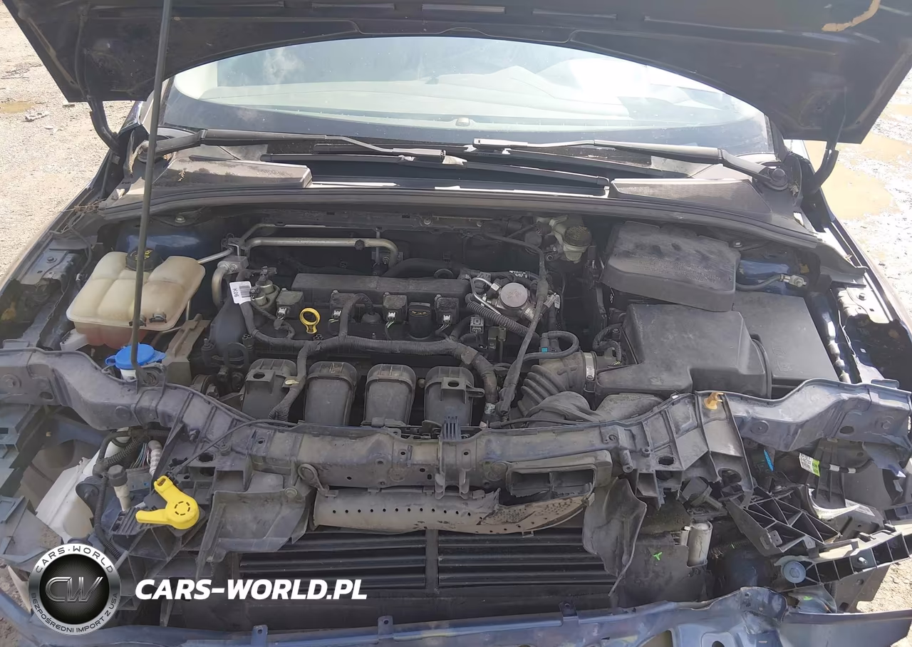 2016 Ford Focus Se VIN:1FADP3F21GL330073 - 10