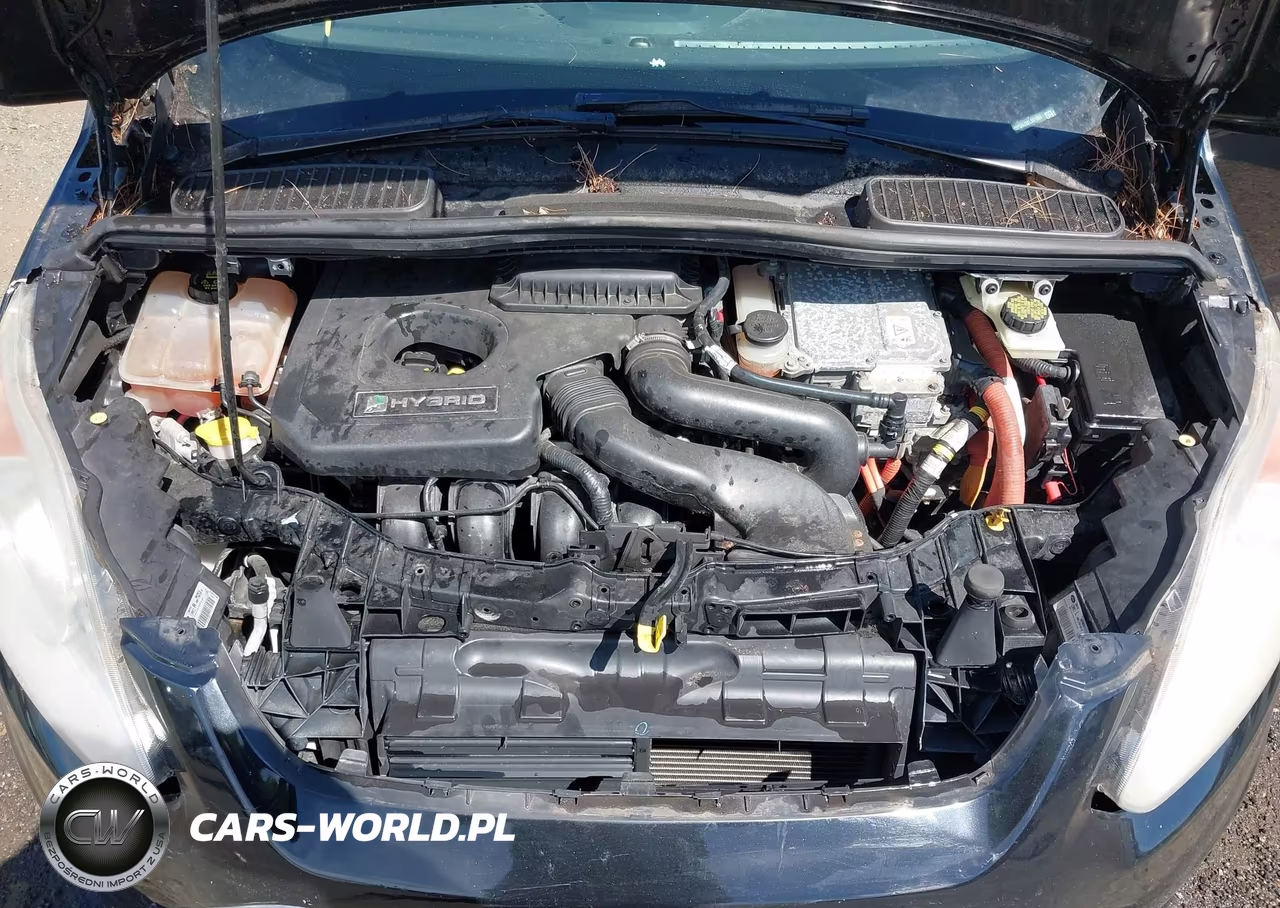 2014 Ford C-Max Hybrid Se VIN:1FADP5AU3EL501066 - 10