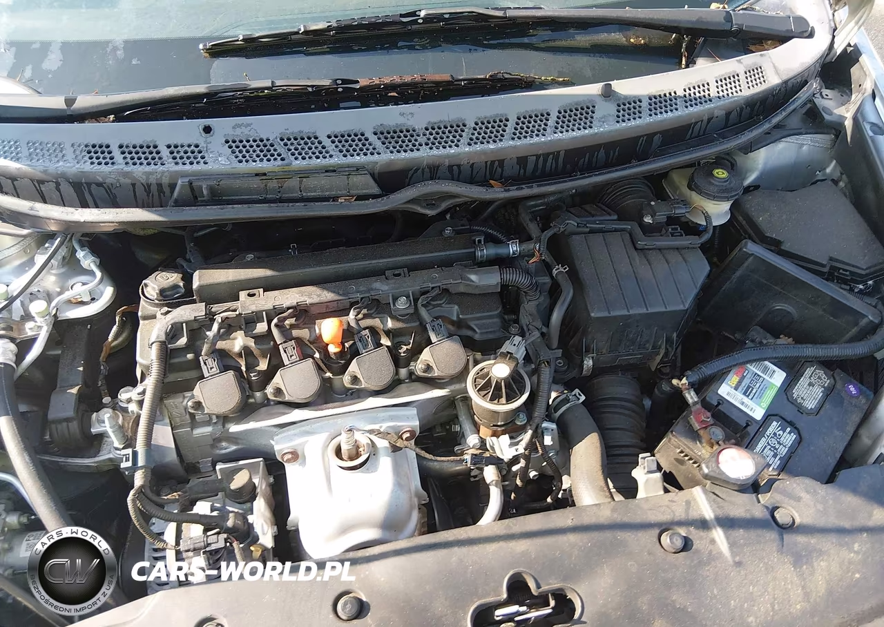 2009 Honda Civic Lx VIN:19XFA16519E025431 - 10