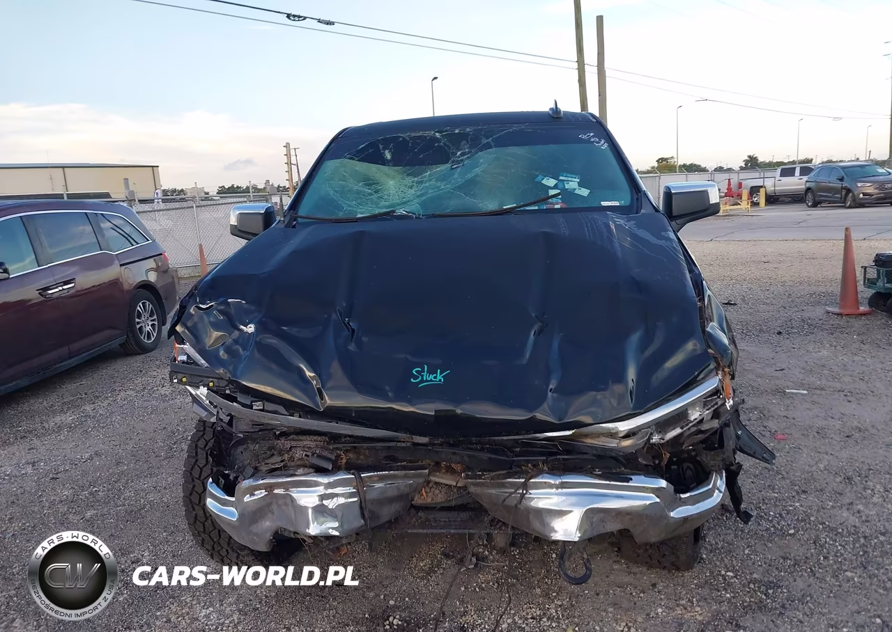 2023 Chevrolet Silverado K1500 Lt VIN:3GCUDDED0PG250580 - 11