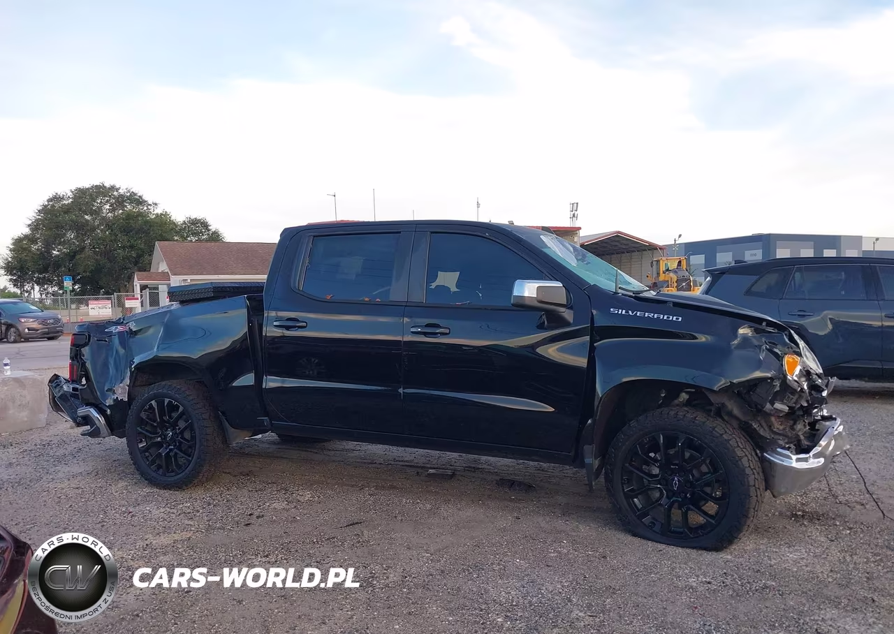 2023 Chevrolet Silverado K1500 Lt VIN:3GCUDDED0PG250580 - 12