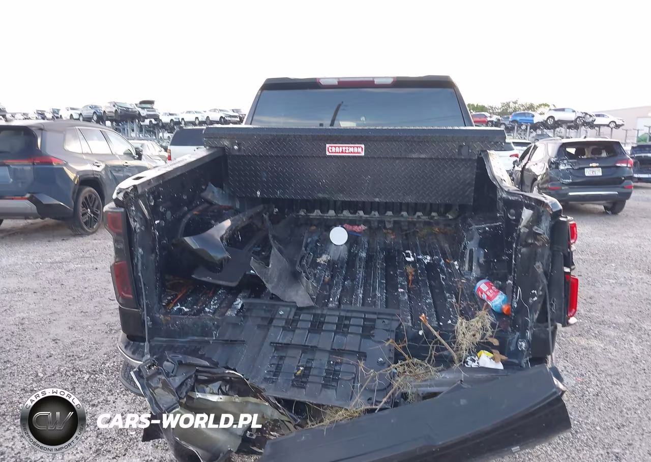 2023 Chevrolet Silverado K1500 Lt VIN:3GCUDDED0PG250580 - 15