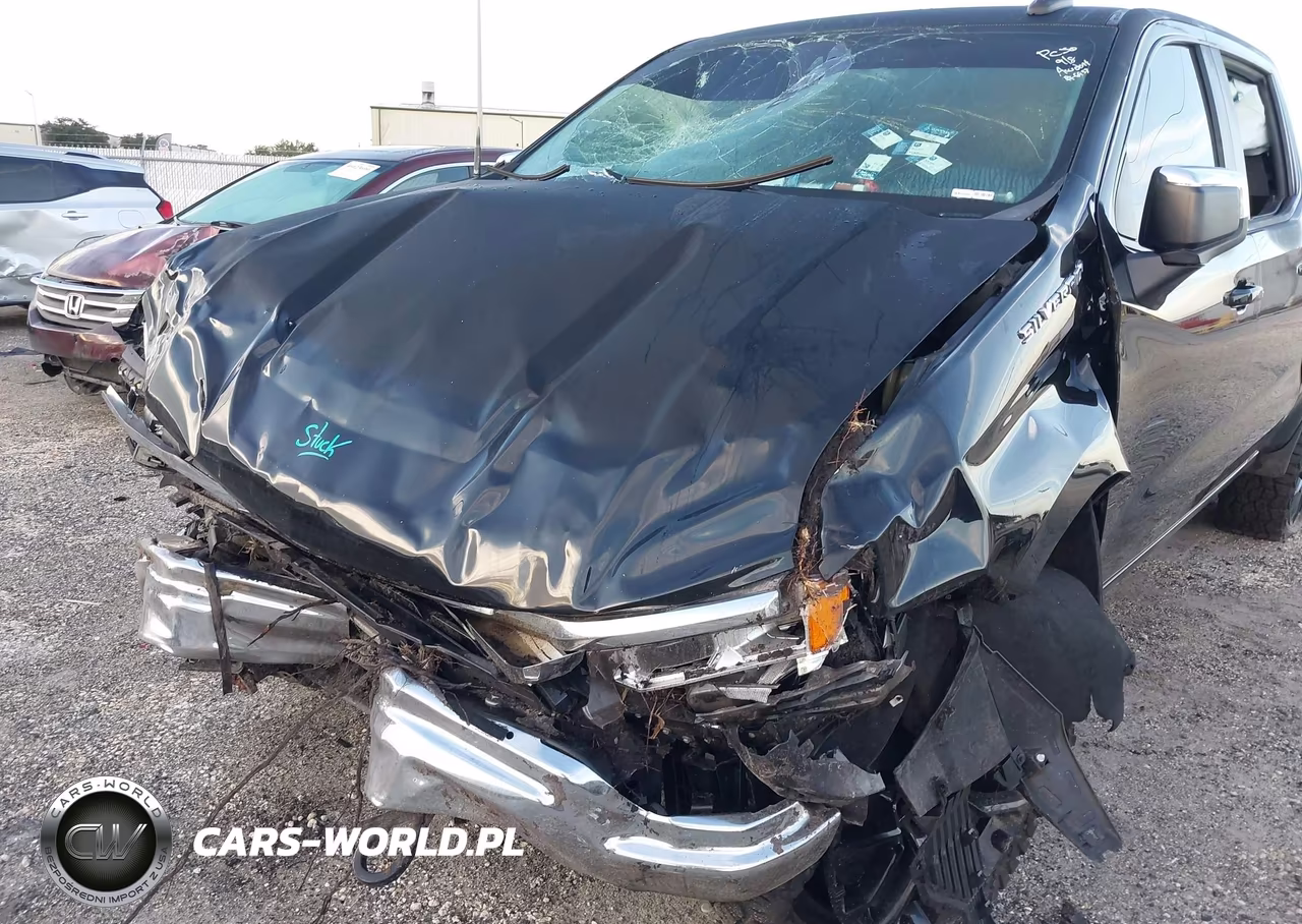2023 Chevrolet Silverado K1500 Lt VIN:3GCUDDED0PG250580 - 6