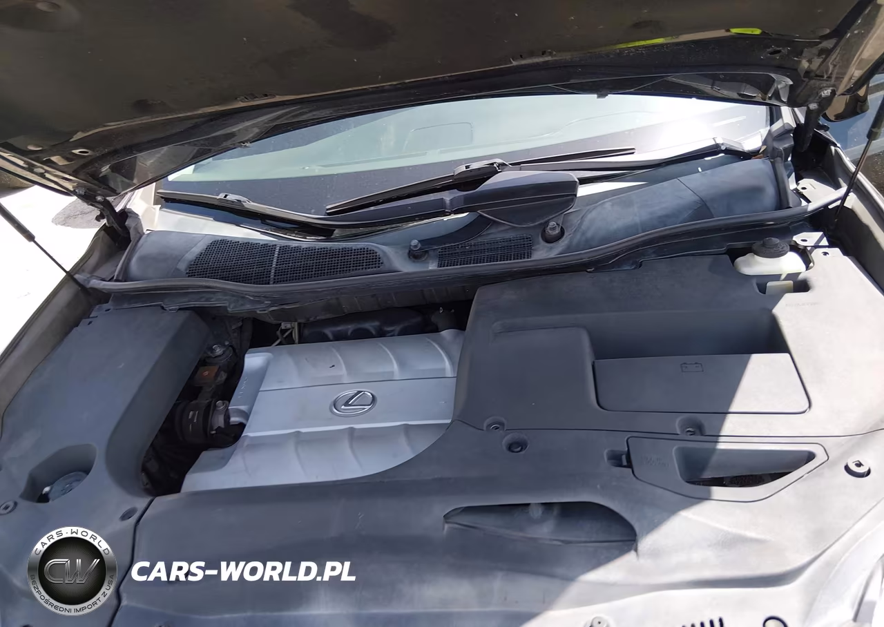2010 Lexus Rx 350 VIN:2T2BK1BA6AC076680 - 10