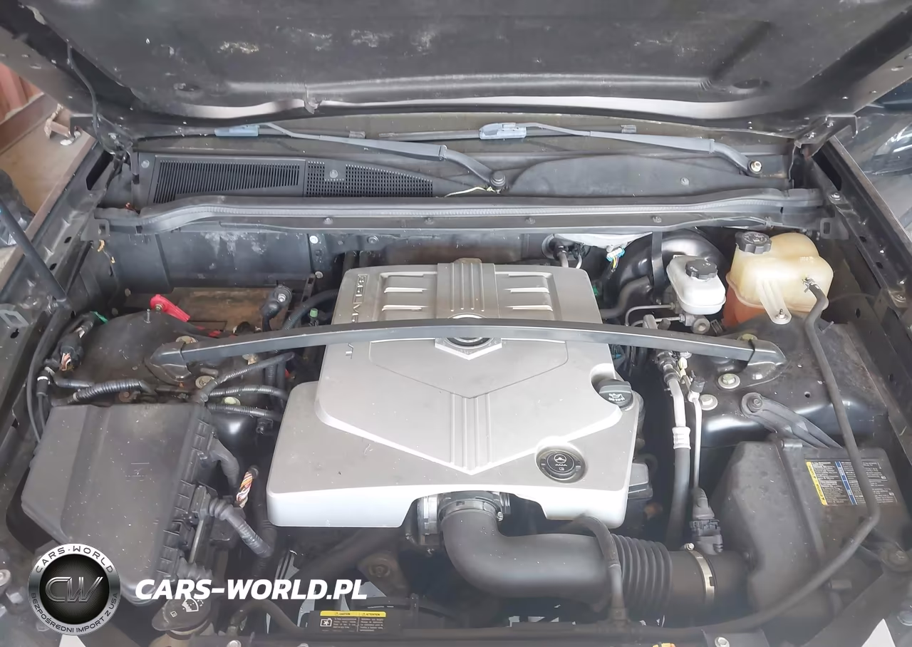 2006 Cadillac Srx V6 VIN:1GYEE637360192584 - 10