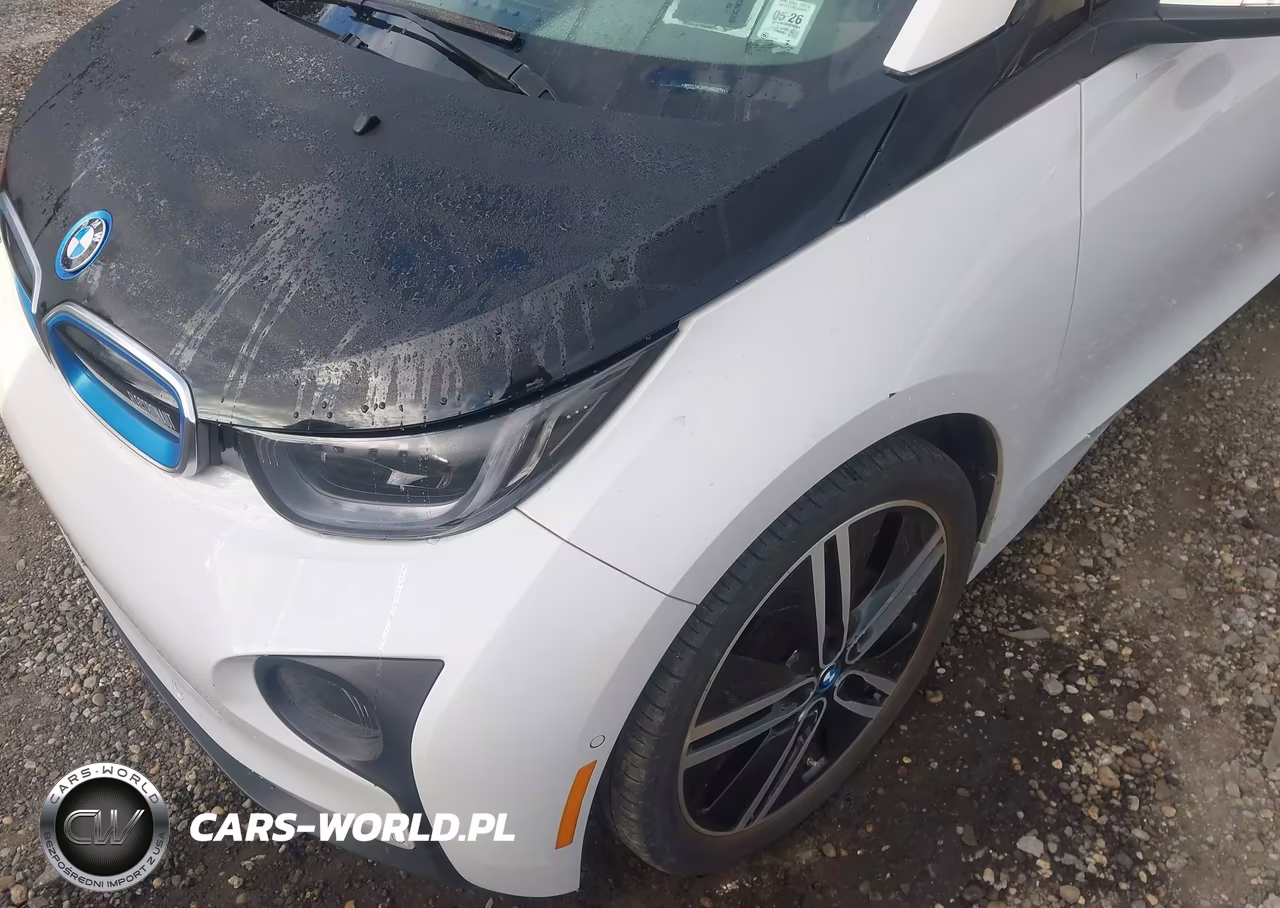 2014 BMW I3 Rex VIN:WBY1Z4C50EVX62584 - 6