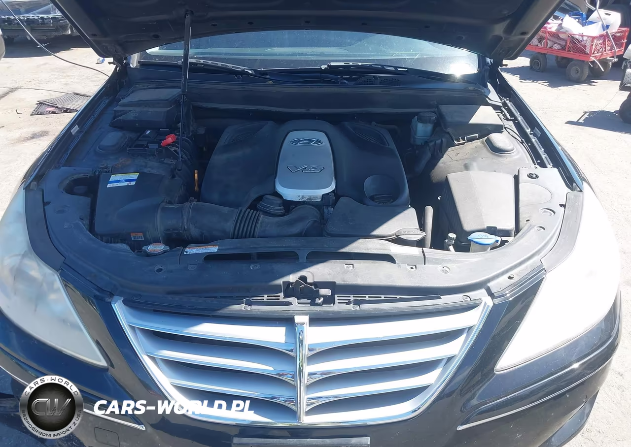 2011 Hyundai Genesis 4.6 VIN:KMHGC4DF1BU119615 - 10