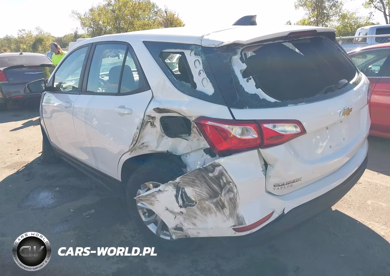 2021 Chevrolet Equinox Ls VIN:2GNAXSEV9M6105253 - 17