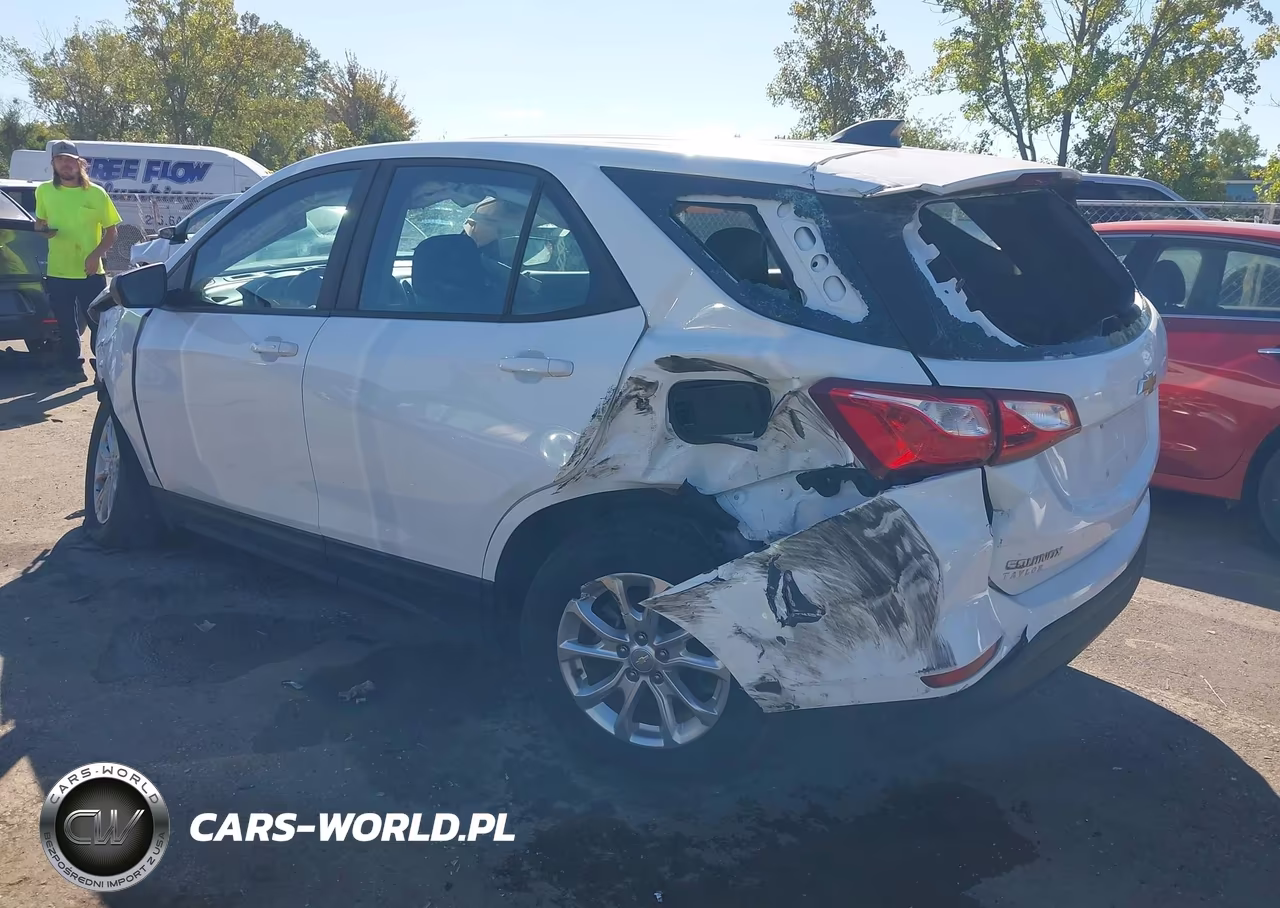 2021 Chevrolet Equinox Ls VIN:2GNAXSEV9M6105253 - 3
