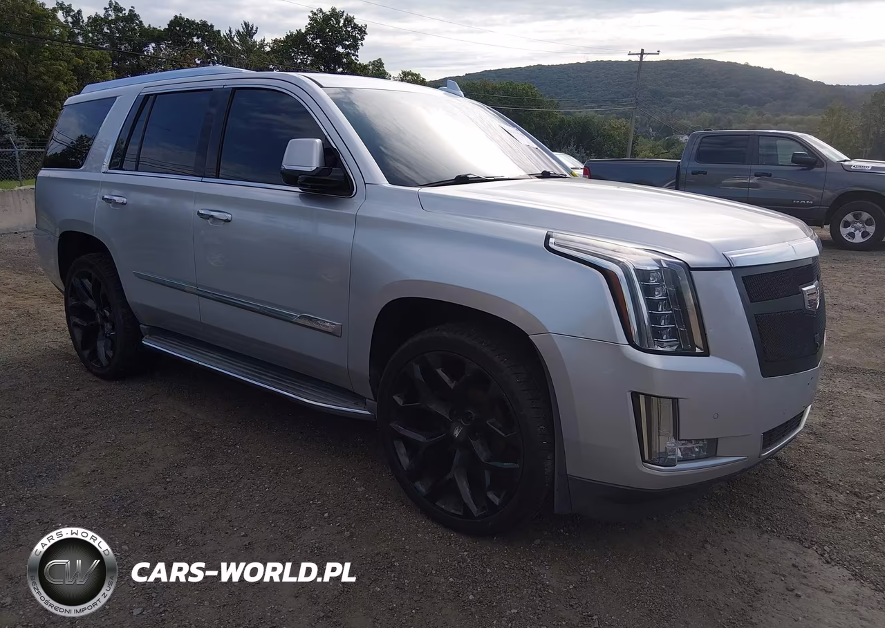 2015 Cadillac Escalade Luxury VIN:1GYS4MKJ3FR665466 - 1